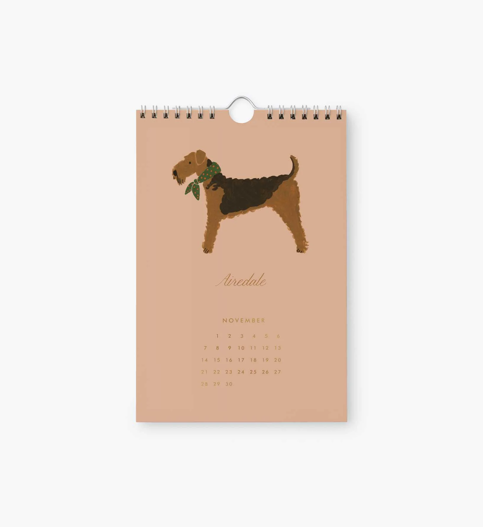 2027 Kitchen Calendar - Dog of the Month - Image 12