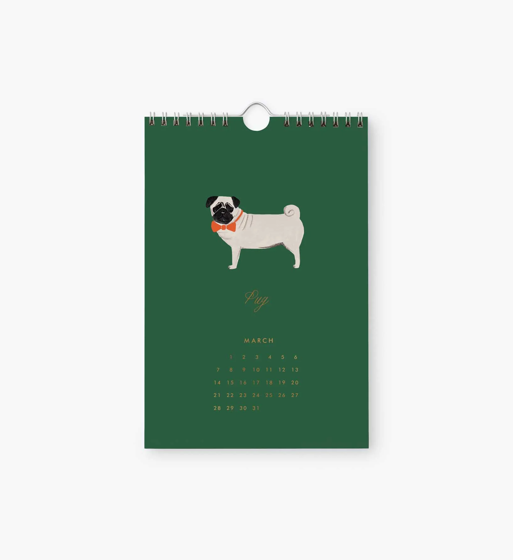 2027 Kitchen Calendar - Dog of the Month - Image 4