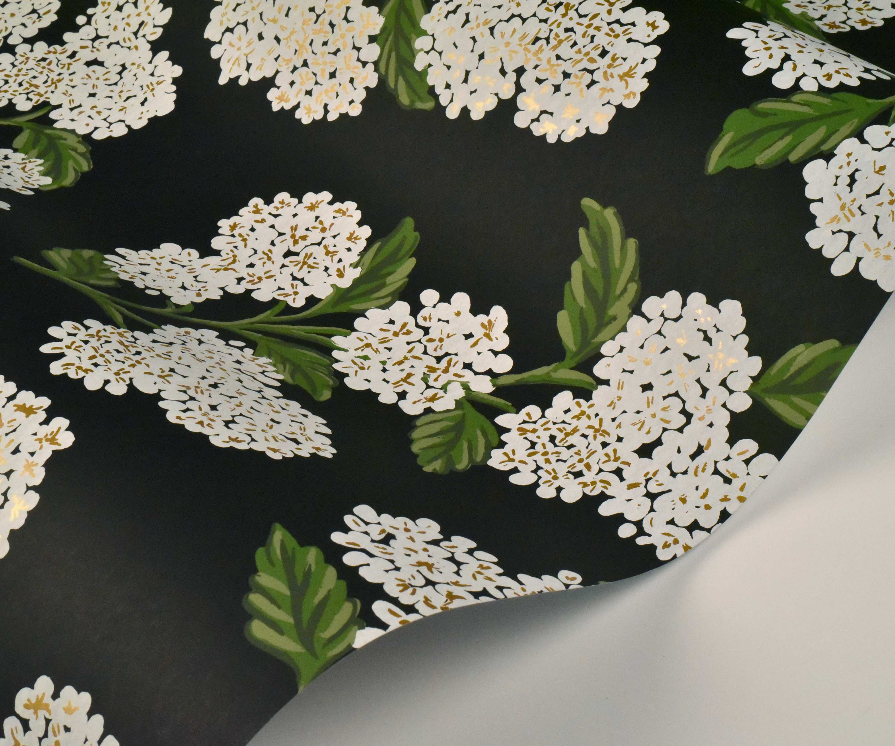 Hydrangea Wallpaper Sample - Black & White - Image 2