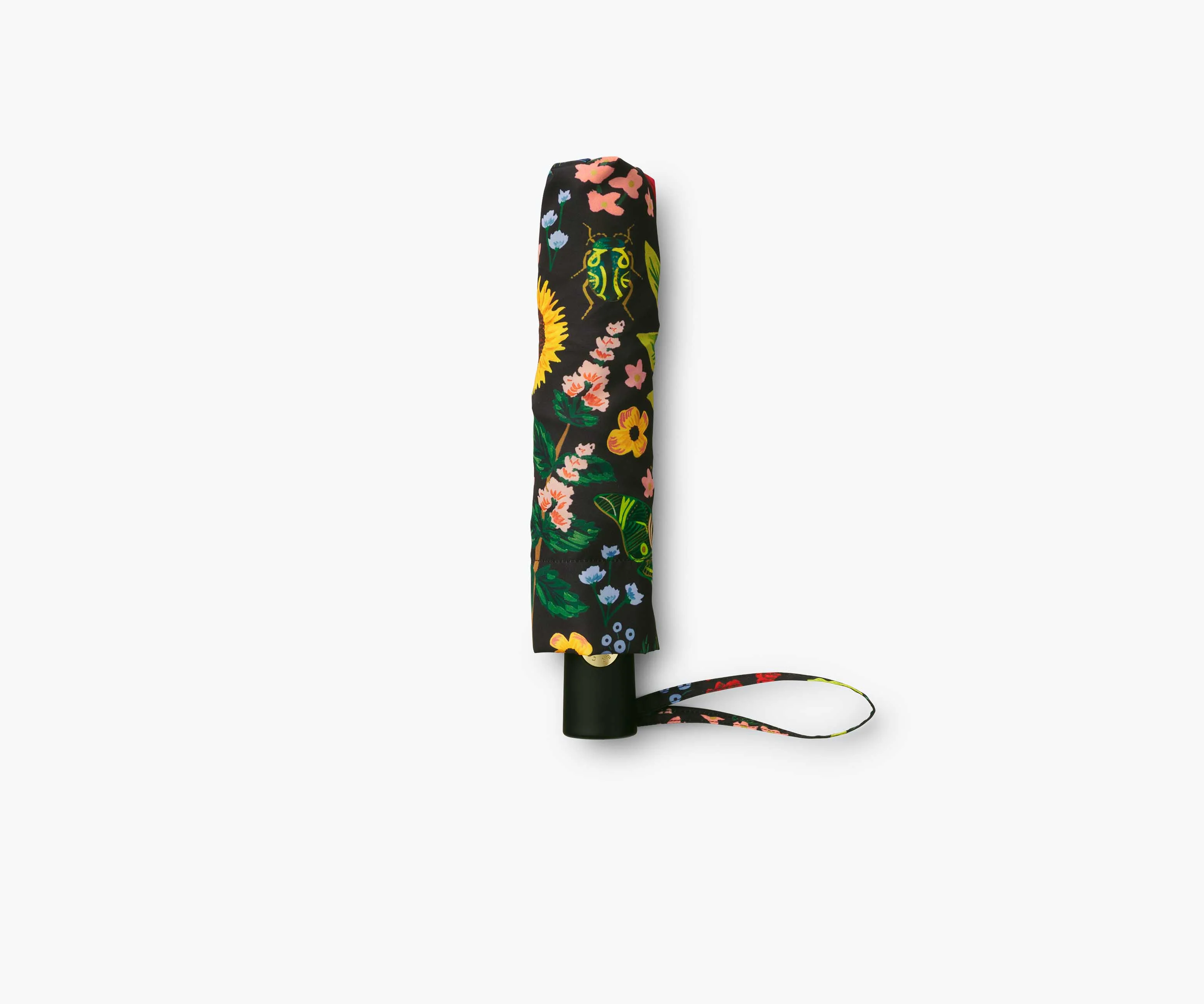 Umbrella - Curio - Image 4
